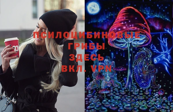 spice Белокуриха